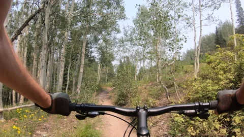 Mountain biking POV fast on single-track Wasatch Crest Trail, Utah. Stock Footage 165848007