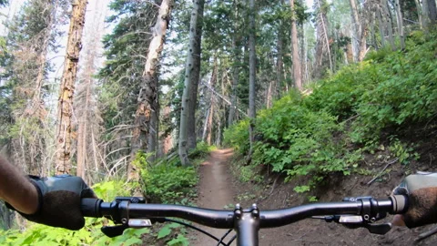 Mountain biking POV fast on single-track Wasatch Crest Trail, Utah. Stock Footage 165848395