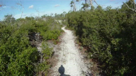 Mountain Biking: POV Video stock 836766