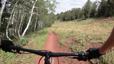 Mountain biking POV, Go Pro on single-track Wasatch Crest Trail, Utah. Video stock 165847501