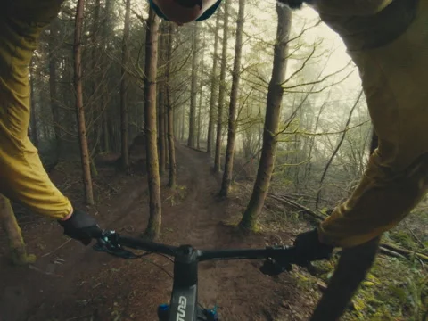 Mountain Biking POV shot: Through beautiful coastal rainforest Stock Footage 231908683