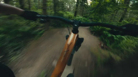 Mountain Biking POV shot: Through beautiful coastal rainforest Stock Footage 231908707