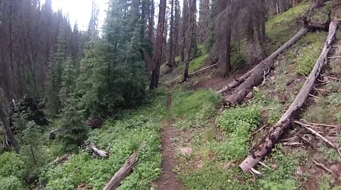 Mountain biking riding through forest on single track in hyperlapse Stock-Footage 45296057