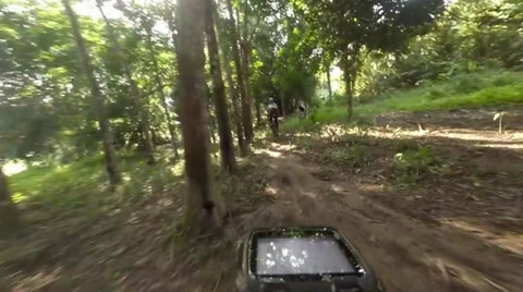 Mountain Biking in Rubber Tree Plantation Stock Footage 39338097