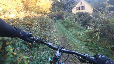 Mountain biking scenic forest track Stock Footage 97044344