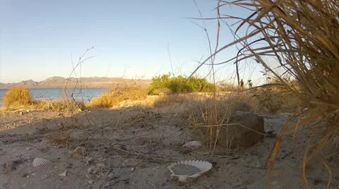 Mountain biking seashell Stock Footage 22101861