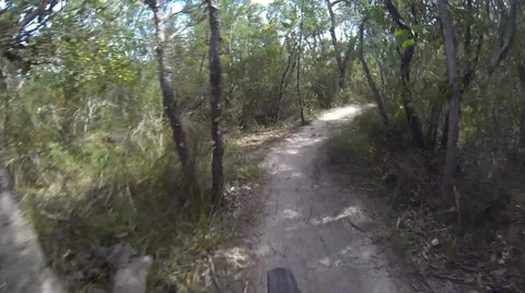 Mountain Biking on Single track Stockbeeldmateriaal 57373773