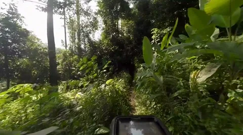 Mountain Biking Single Trail Stock Footage 39408185