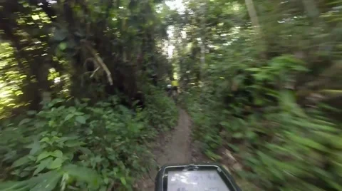 Mountain Biking Single Trail Stock Footage 39409193