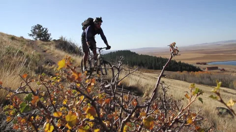 Mountain Biking Singletrack Video stock 39421451