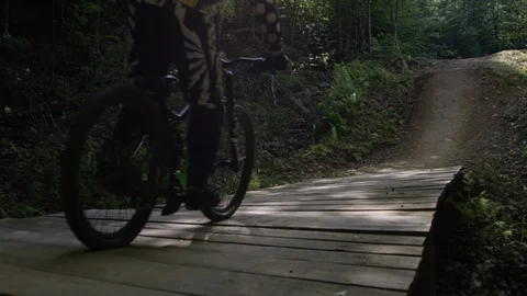 Mountain biking slow motion deep woods back country Stock Footage 119033773