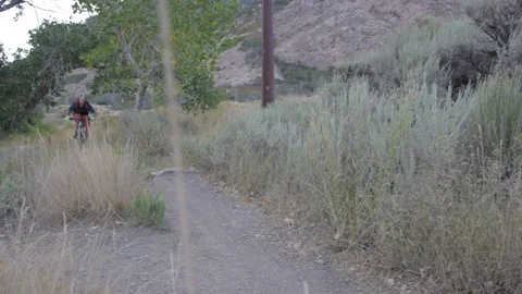 Mountain biking in the summer 20 Video stock 94323612
