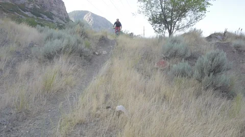 Mountain biking in the summer 28 Video stock 94329580