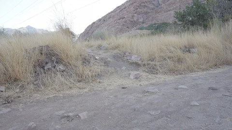 Mountain biking in the summer 30 Vidéo 94330289