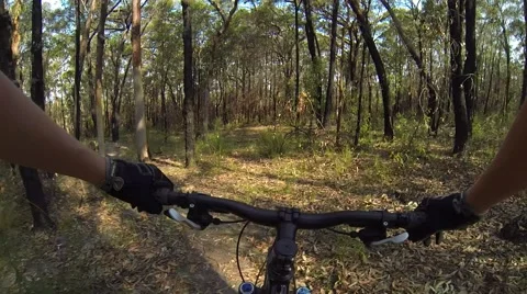 Mountain biking through bush Stockbeeldmateriaal 46797337