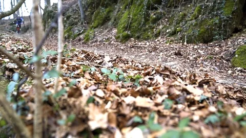 Mountain biking through the dry leaves of the forest in autumn. Stock Footage 92338546