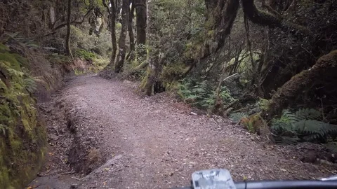 Mountain biking through a native rainforest in New Zealand 스톡 동영상 122524827