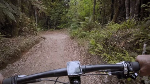 Mountain biking through a native rainforest in New Zealand Stock Footage 122525671