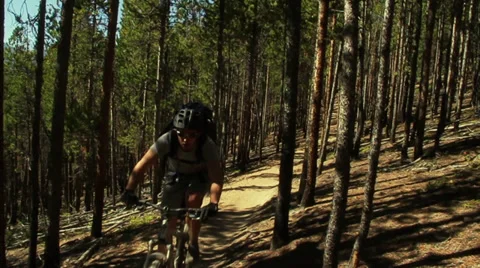 Mountain Biking Through Pine Forest Video stock 39421483