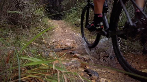 Mountain Biking through a stream On A Singletrack Dirt Trail Through A Forest in Stock-Footage 108964156