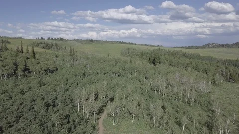 Mountain biking trail, Drone fly through Video stock 122493738