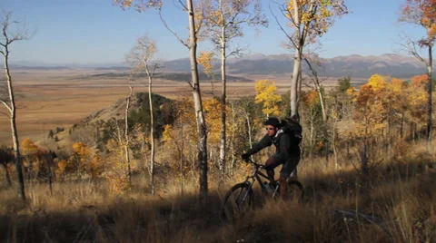 Mountain Biking on Trail Video stock 39421151