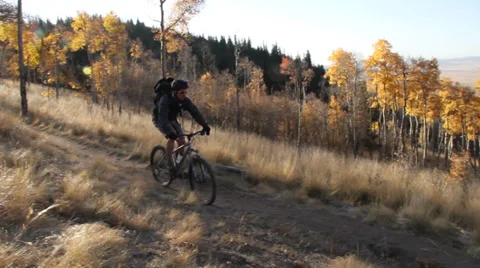 Mountain Biking on Trail Video stock 39421201