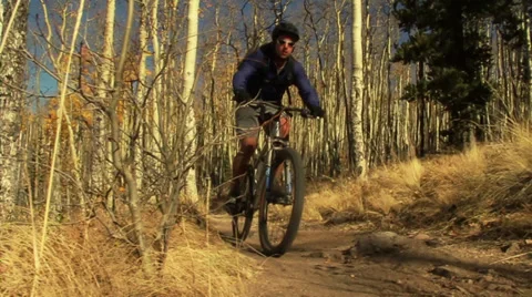 Mountain Biking on Trail Video stock 39421235