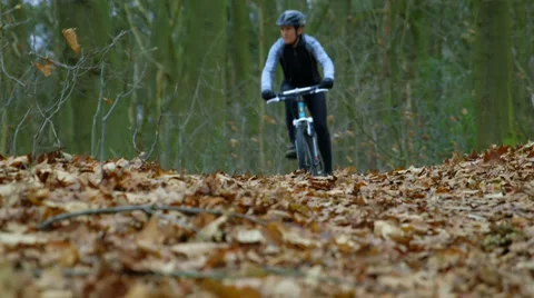 Mountain biking trough forrest Stock Footage 36079909
