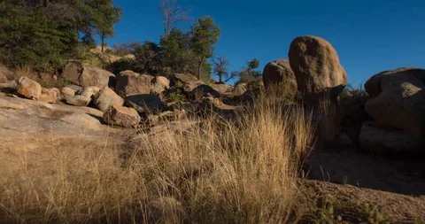 Mountain Biking Uphill Stock Footage 93811455