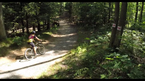 Mountain Biking in the Woods 스톡 동영상 41376232