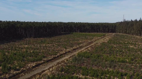 Mountain Biking in Yorkshire Vídeo Stock 128530740