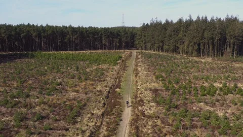 Mountain Biking in Yorkshire Vídeo Stock 128530902