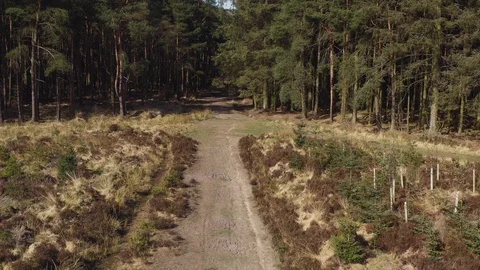 Mountain Biking in Yorkshire Vídeo Stock 128531719