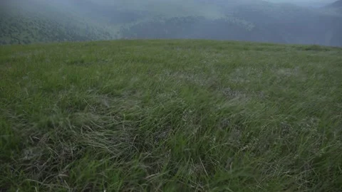 Mountain blades of grass Video stock 194813519