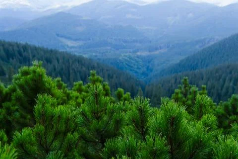 Mountain blue gradient landscape panorama twilight in mountains. Stock Photos