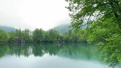 Mountain blue lake in the forest panorama Stock Footage 276426714