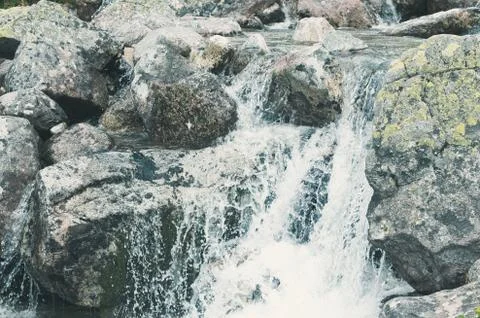 Mountain Brook Closeup Stock Photos