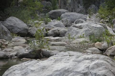 Mountain brook Stock Photos