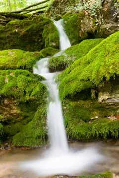 Mountain brook Stock Photos