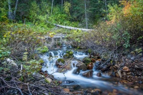 Mountain Brook Stock-Fotos