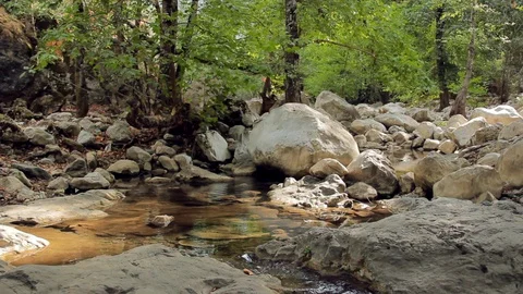 Mountain brook with rooks and trees high up in the mountains Stock Footage 128534778