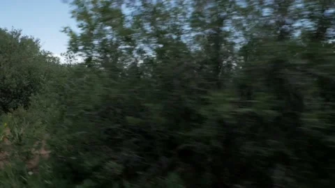 Mountain Brush 4 Wheeler Stock Footage 234165521