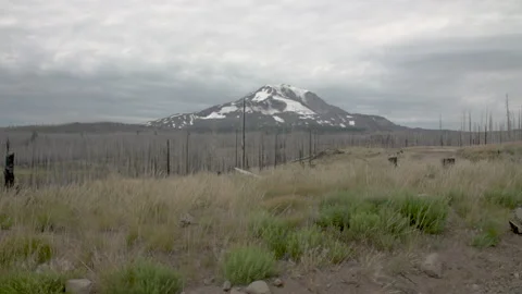 Mountain with burned forest Stock Footage 165266580