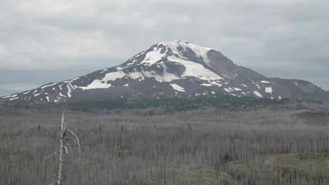 Mountain with burned forest Stock Footage 165267620