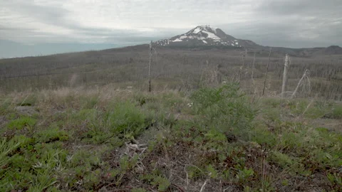 Mountain with burned forest Stock Footage 165267712