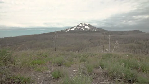 Mountain with burned forest Stock Footage 165269275