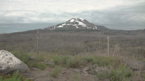 Mountain with burned forest Stock Footage 165270399
