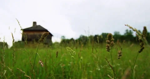 Mountain cabin in a field 2 Stock Footage 138605090