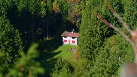 Mountain Cabin Surrounded by Dense Forest in Scenic Landscape Stock Footage 320203135